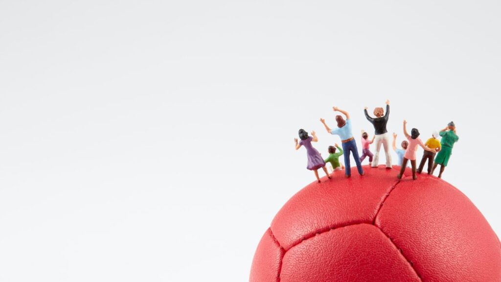 Sports Fandom